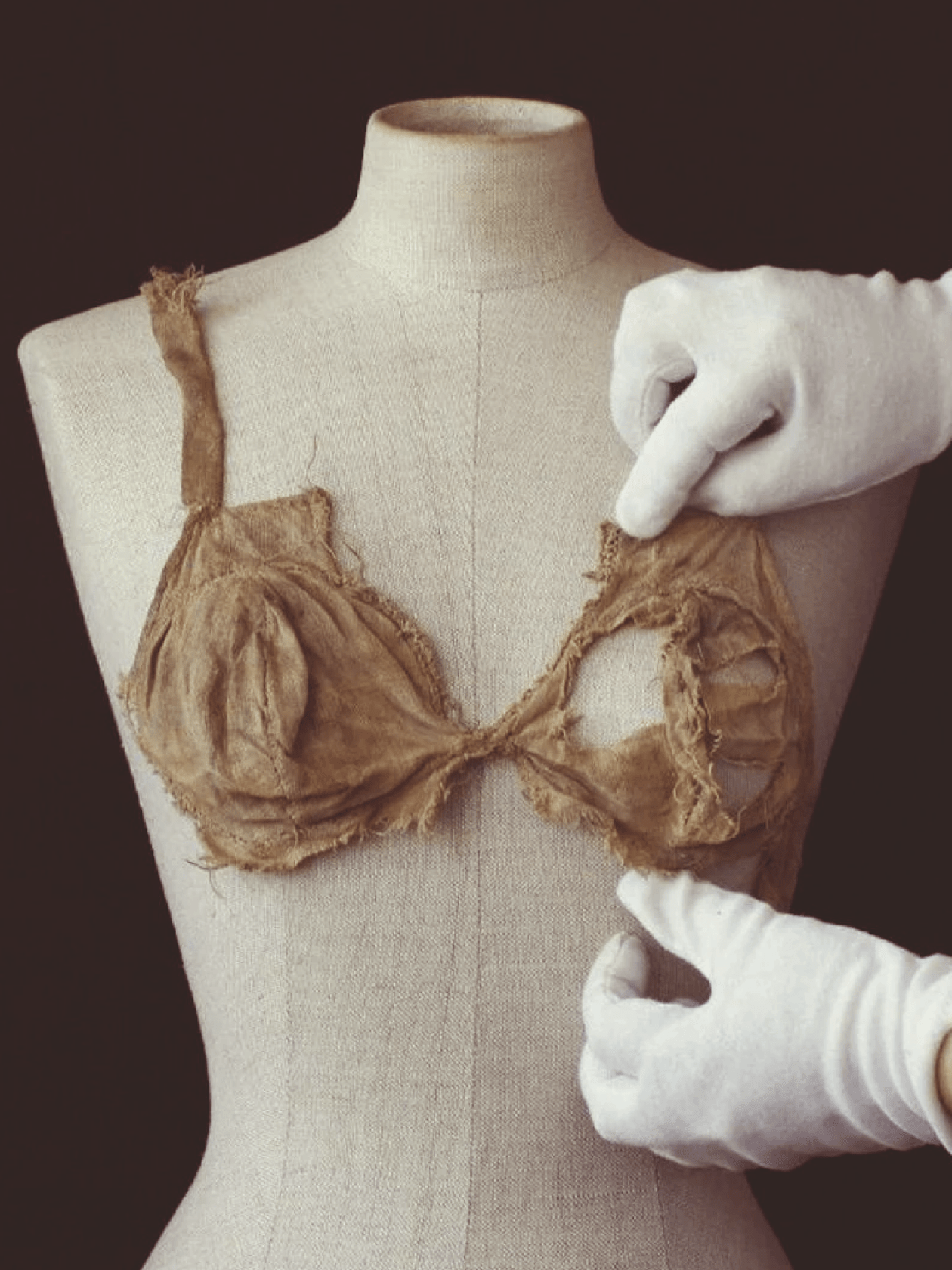 Dear Diary: Is It Time To Replace My Bra? - Lingerie Living