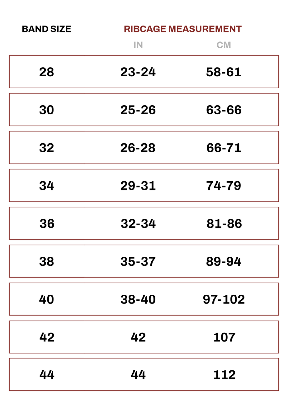Lingerie Living Bra Fit Guide