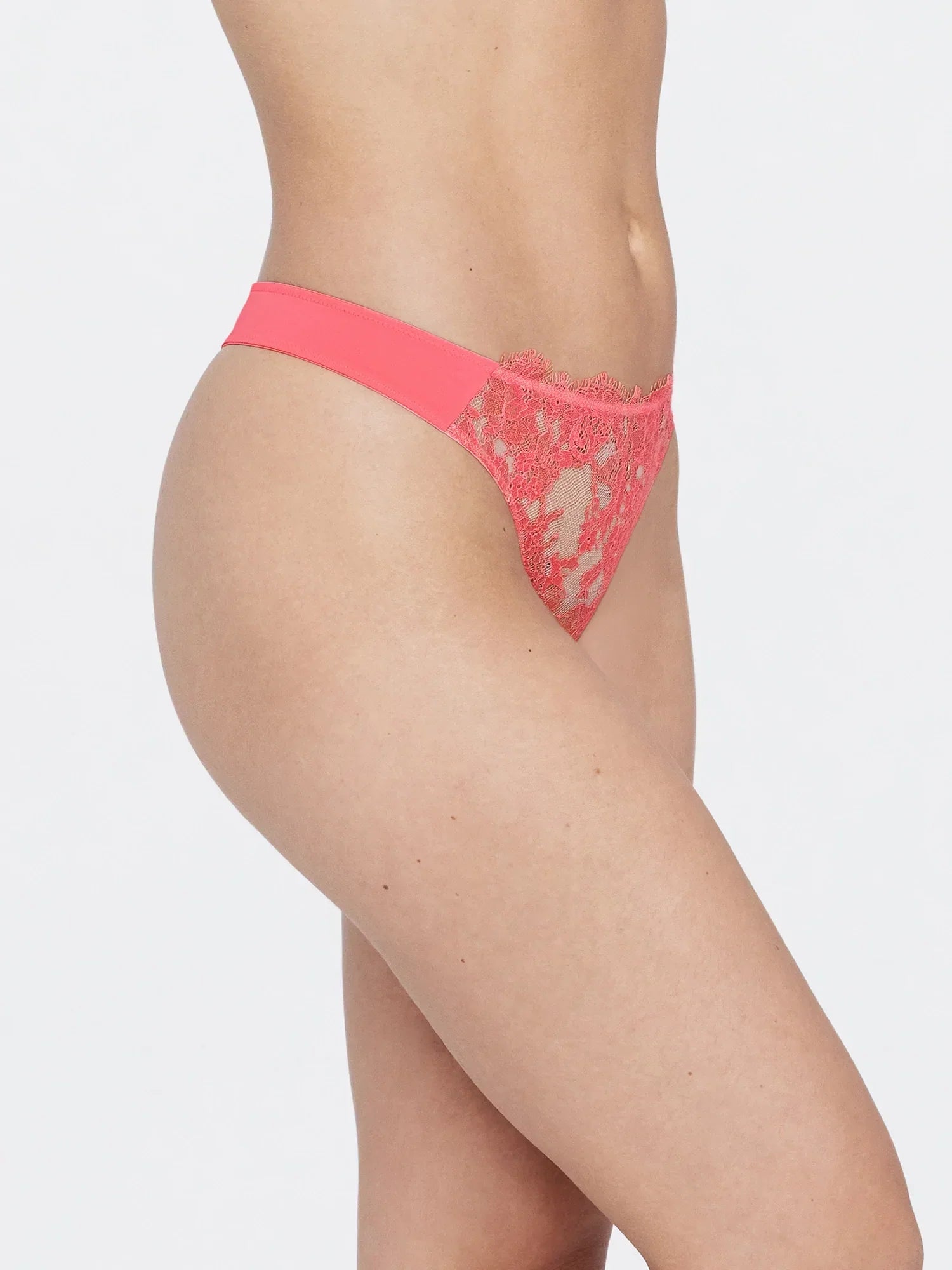 Entice Front Lace Thong - Thong - Skarlett Blue